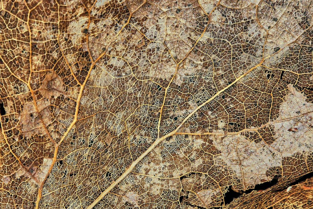 Czech Mapping Agency